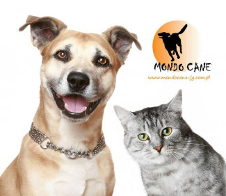Fundacja na Rzecz Ochrony Praw Zwierząt Mondo Cane